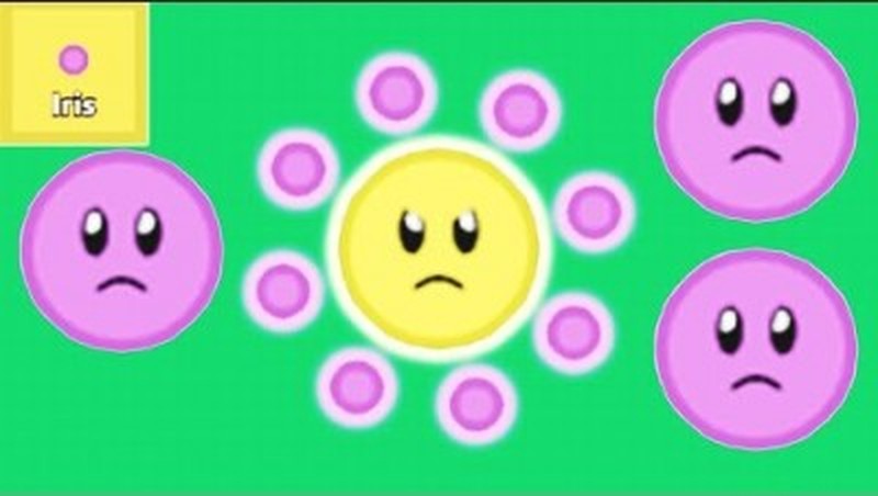 Florr.io petal combat