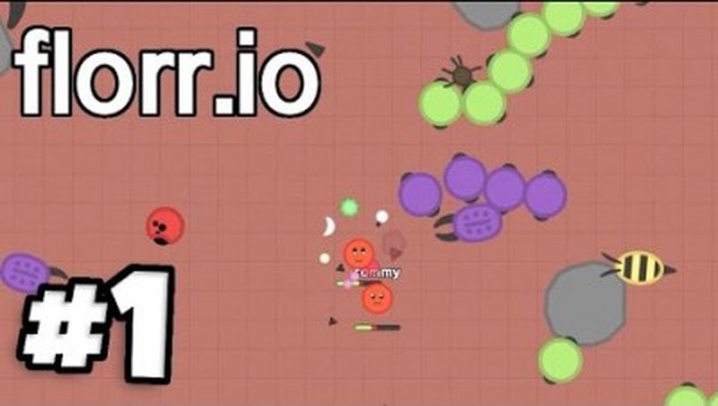 Florr.io gameplay