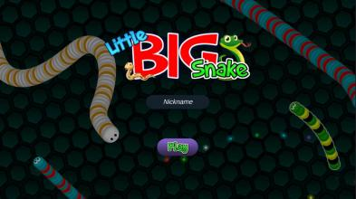 LittleBigSnake.io Flying Form