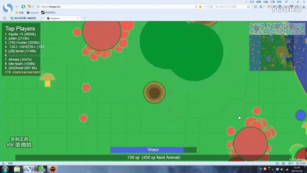 mope-io - Animal evolution survival